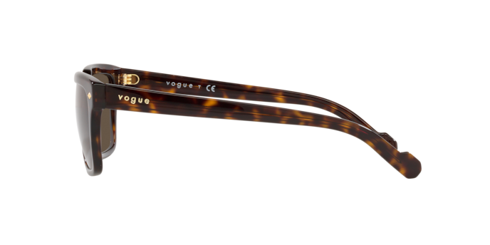 Vogue VO5404S W65673  